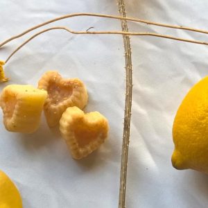 Senteur Vitalis Agrumes