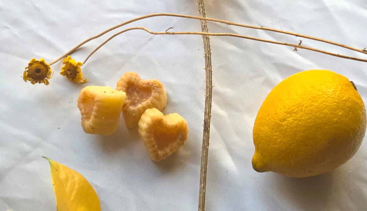 Senteur Vitalis Agrumes